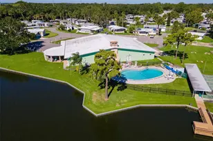 33 Cocos Plumosa Dr, Eustis, FL 32726 - Photo 48