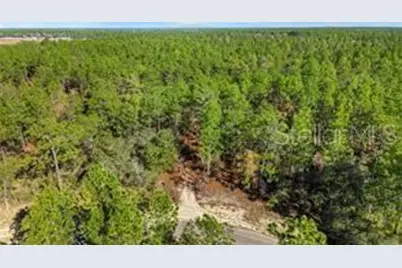 8941 N Farrington Drive, Citrus Springs, FL 34433 - Photo 2