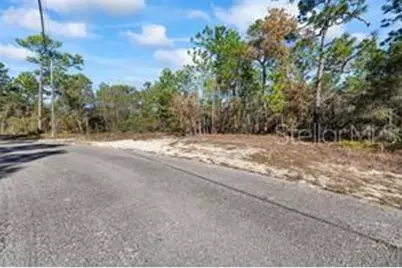 8941 N Farrington Drive, Citrus Springs, FL 34433 - Photo 4