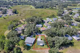 25524 Belle Helene, Leesburg, FL 34748 - Photo 40