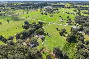 2827 Hammock Grove Rd, Groveland, FL 34736 - Photo 52
