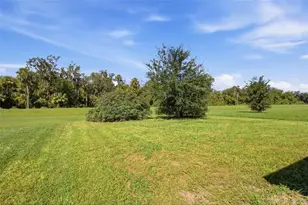 3366 Curlew Ave, Leesburg, FL 34748 - Photo 42