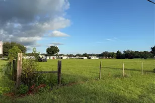 2262 E C 478, Webster, FL 33597 - Photo 8