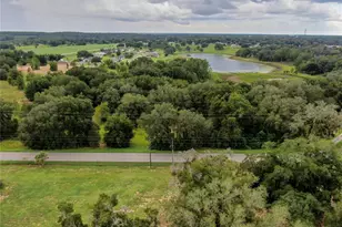 Tbd Lot 6 Keene Rd, Altoona, FL 32702 - Photo 26