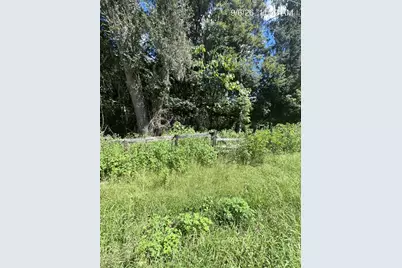 Tbd NW 110th Street, Reddick, FL 32686 - Photo 6