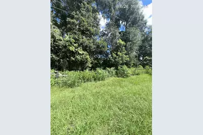 Tbd NW 110th Street, Reddick, FL 32686 - Photo 4