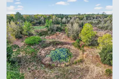 Island Pond Lane, Eustis, FL 32736 - Photo 8