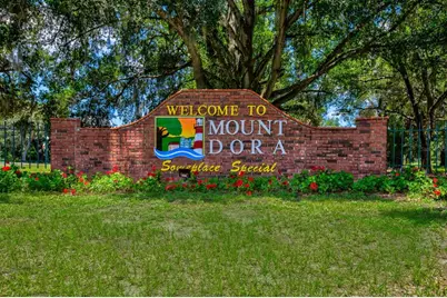 101 N Grandview Street #111, Mount Dora, FL 32757 - Photo 48