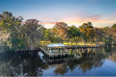122 Drayton Island Road, Georgetown, FL 32139 - Photo 2