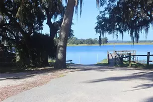 25317 NE 140th Ln, Salt Springs, FL 32134 - Photo 26