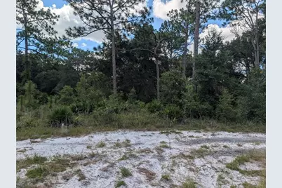 Xxx Wedgewood Circle, Mount Dora, FL 32757 - Photo 1