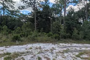 Xxx Wedgewood Circle, Mount Dora, FL 32757 - Photo 1
