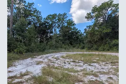 Xxx Wedgewood Circle, Mount Dora, FL 32757 - Photo 2