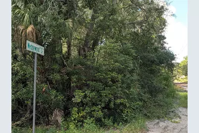 Xxx Wedgewood Circle, Mount Dora, FL 32757 - Photo 4