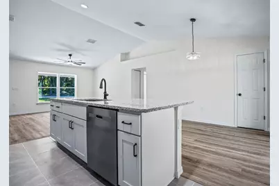6 Bay Pass Terrace, Ocklawaha, FL 32179 - Photo 10