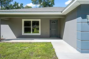 6 Bay Pass Terrace, Ocklawaha, FL 32179 - Photo 2