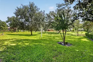 2314 Hillside Dr, Mount Dora, FL 32757 - Photo 48
