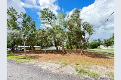 Luella Avenue, Paisley, FL 32767 - Photo 4