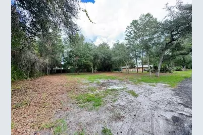 Luella Avenue, Paisley, FL 32767 - Photo 8