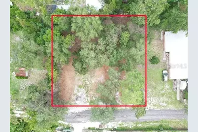 Luella Avenue, Paisley, FL 32767 - Photo 6