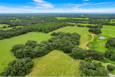 1382 Cr 722, Webster, FL 33597 - Photo 10