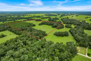 1382 Cr 722, Webster, FL 33597 - Photo 1
