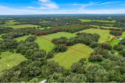 1382 Cr 722, Webster, FL 33597 - Photo 4