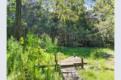 8370 Cr 647, Bushnell, FL 33513 - Photo 6