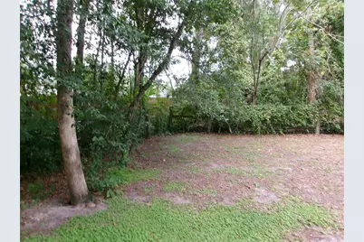 10665 SE 131st Place, Ocklawaha, FL 32179 - Photo 12