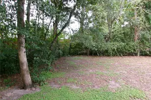 10665 SE 131 Pl, Ocklawaha, FL 32179 - Photo 12