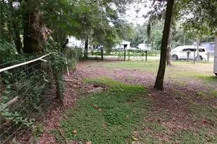 10665 SE 131 Pl, Ocklawaha, FL 32179 - Photo 16