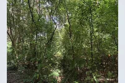 0 SE  118th Place, Belleview, FL 34420 - Photo 1