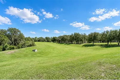 585 Black Eagle Drive, Groveland, FL 34736 - Photo 50