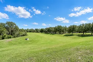 585 Black Eagle Dr, Groveland, FL 34736 - Photo 50