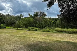 17710 Palm View Cir, Mount Dora, FL 32757 - Photo 68
