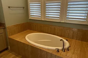 17710 Palm View Cir, Mount Dora, FL 32757 - Photo 34