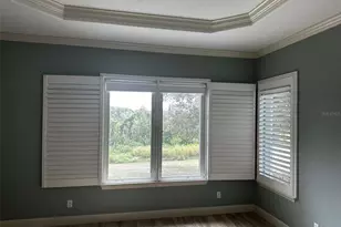 17710 Palm View Cir, Mount Dora, FL 32757 - Photo 28