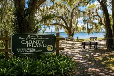 Tbd SW 125th Lane, Belleview, FL 34420 - Photo 6
