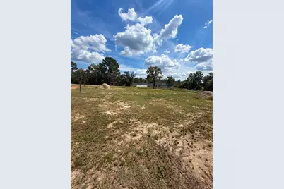 Tbd SW 125th Lane, Belleview, FL 34420 - Photo 2