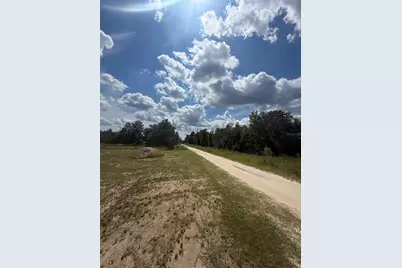 Tbd SW 125th Lane, Belleview, FL 34420 - Photo 4