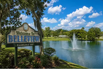 Tbd SW 125th Lane, Belleview, FL 34420 - Photo 8