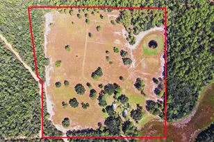 29025 SE 150th St, Altoona, FL 32702 - Photo 2