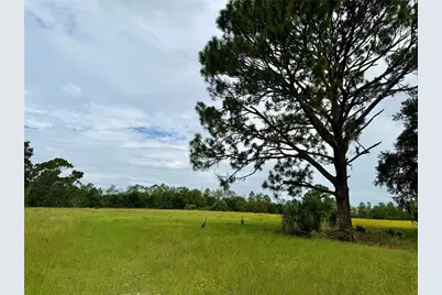 29025 SE 150th Street, Altoona, FL 32702 - Photo 64
