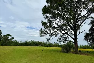 29025 SE 150th St, Altoona, FL 32702 - Photo 64