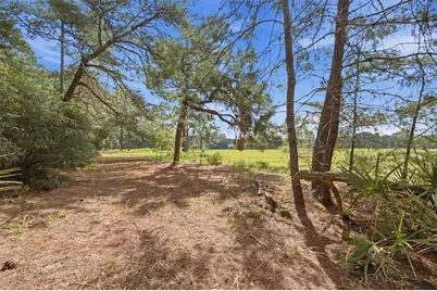 29025 SE 150th Street, Altoona, FL 32702 - Photo 54