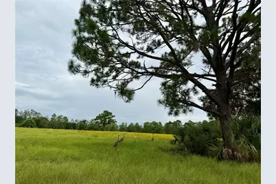 29025 SE 150th Street, Altoona, FL 32702 - Photo 10