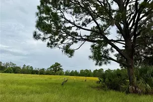 29025 SE 150th St, Altoona, FL 32702 - Photo 10