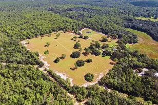 29025 SE 150th St, Altoona, FL 32702 - Photo 66