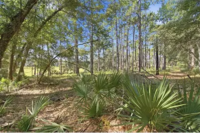 29025 SE 150th Street, Altoona, FL 32702 - Photo 58