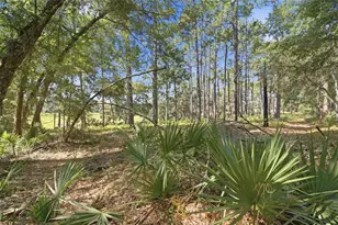 29025 SE 150th St, Altoona, FL 32702 - Photo 58
